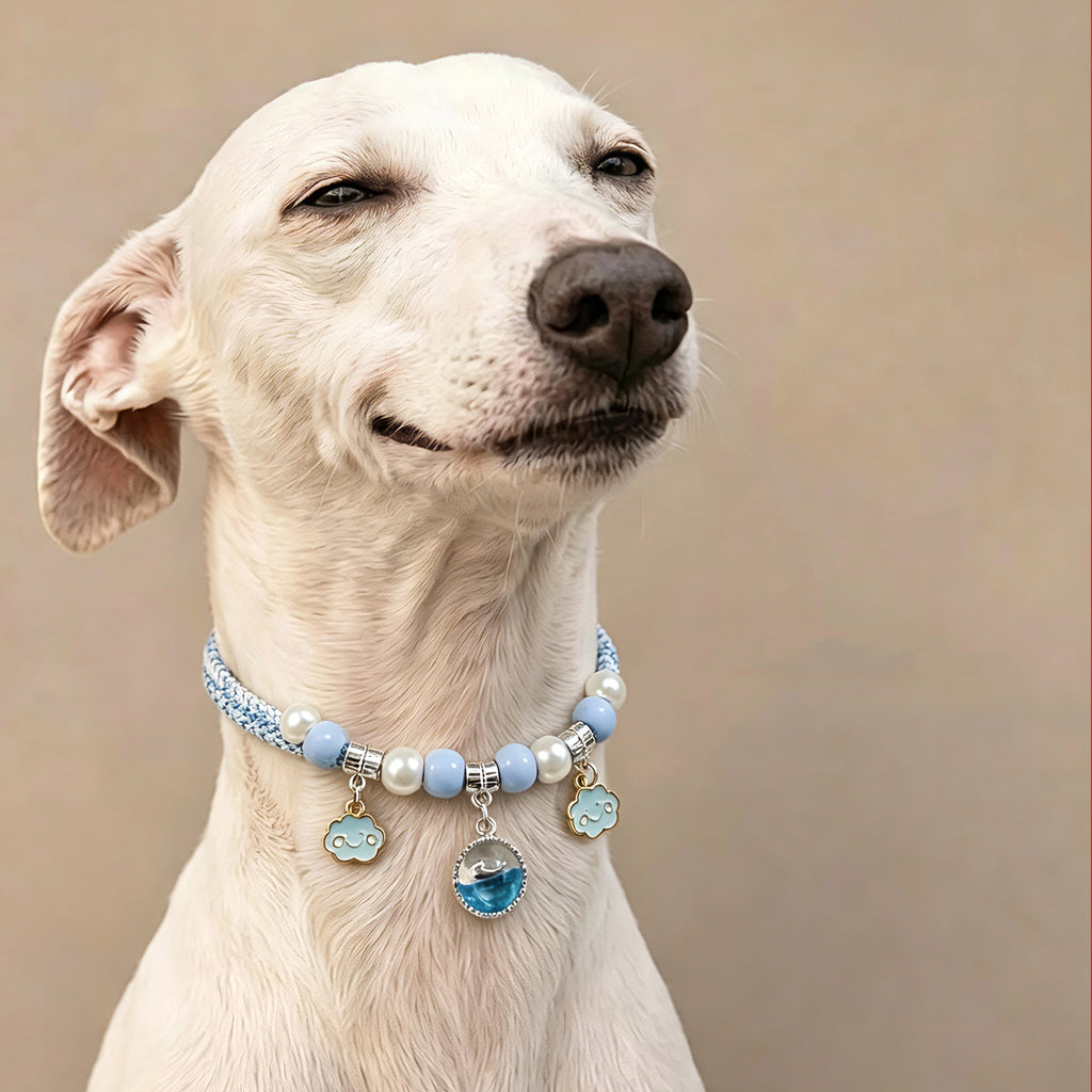 Ocean Series 2-Way Adjustable Pet Necklace