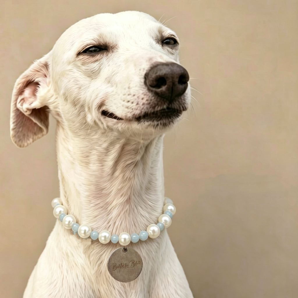 Elegant Pearl Beaded Pet Collar Necklace