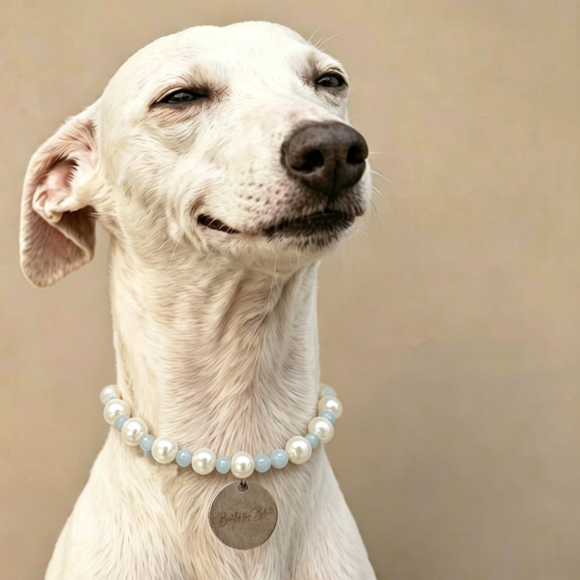 Elegant Pearl Beaded Pet Collar Necklace