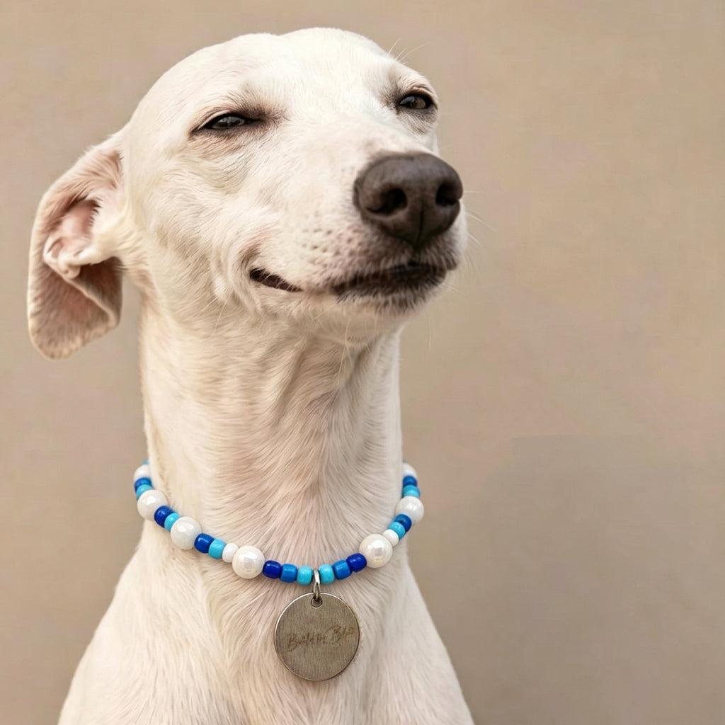 Cute Beaded Pet Collar Necklace
