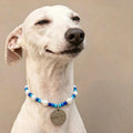 Cute Beaded Pet Collar Necklace