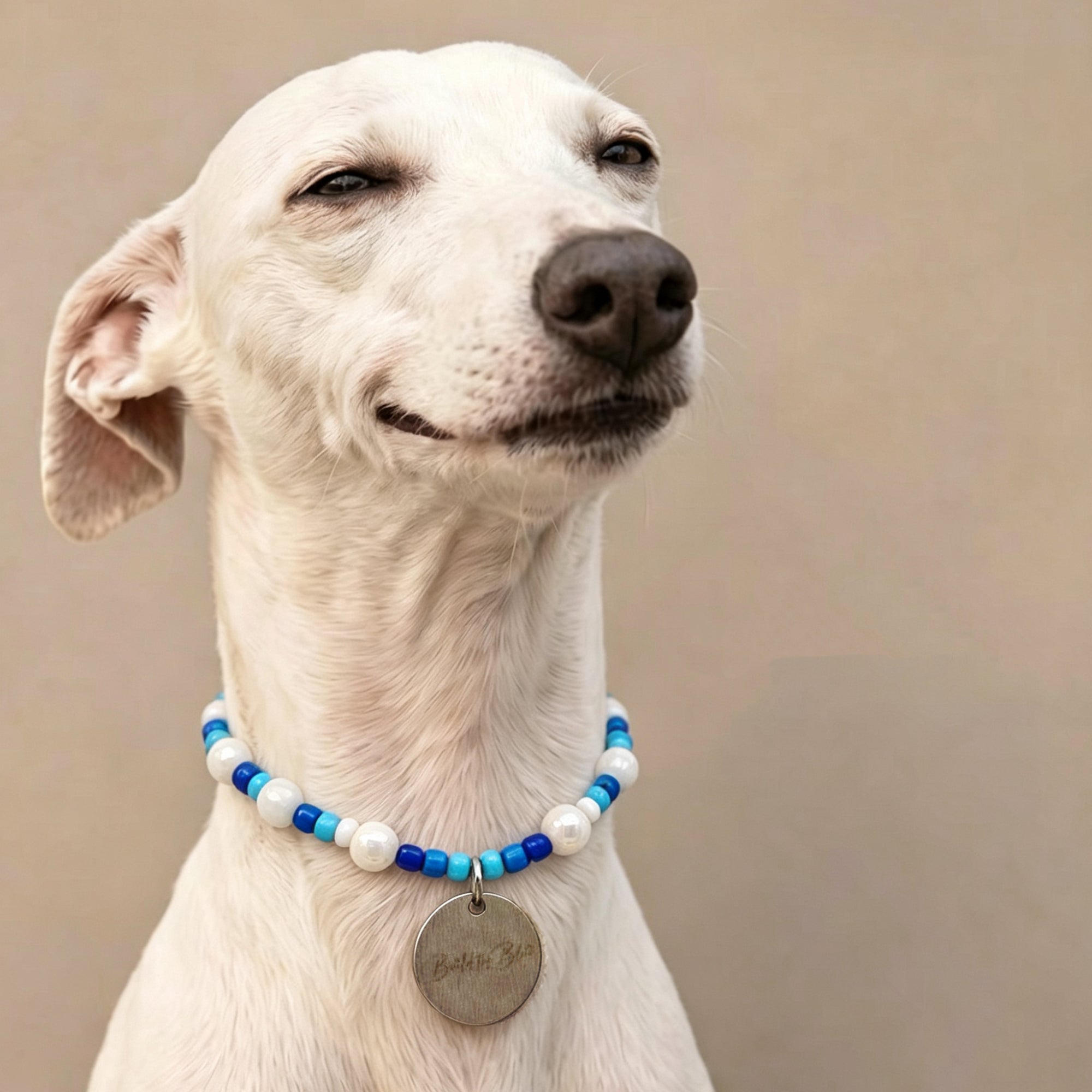 Cute Beaded Pet Collar Necklace