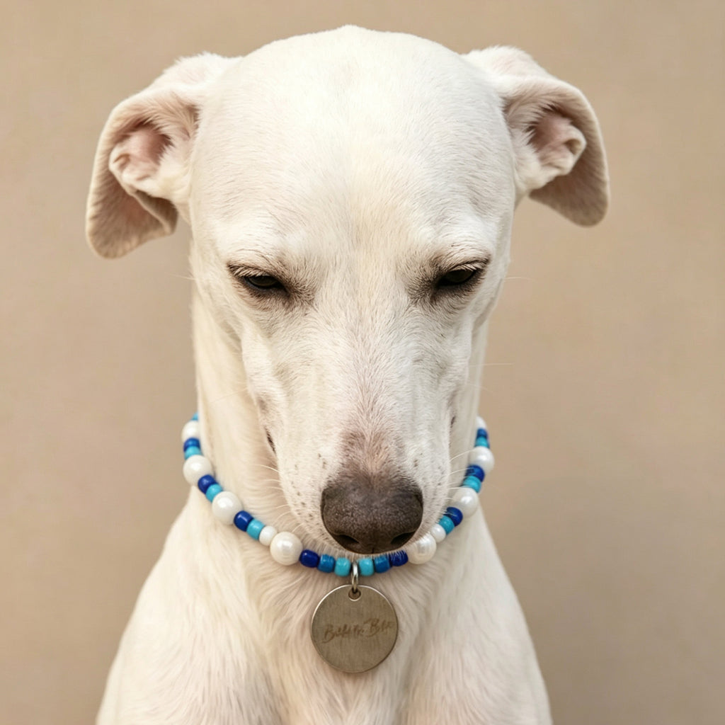 Cute Beaded Pet Collar Necklace