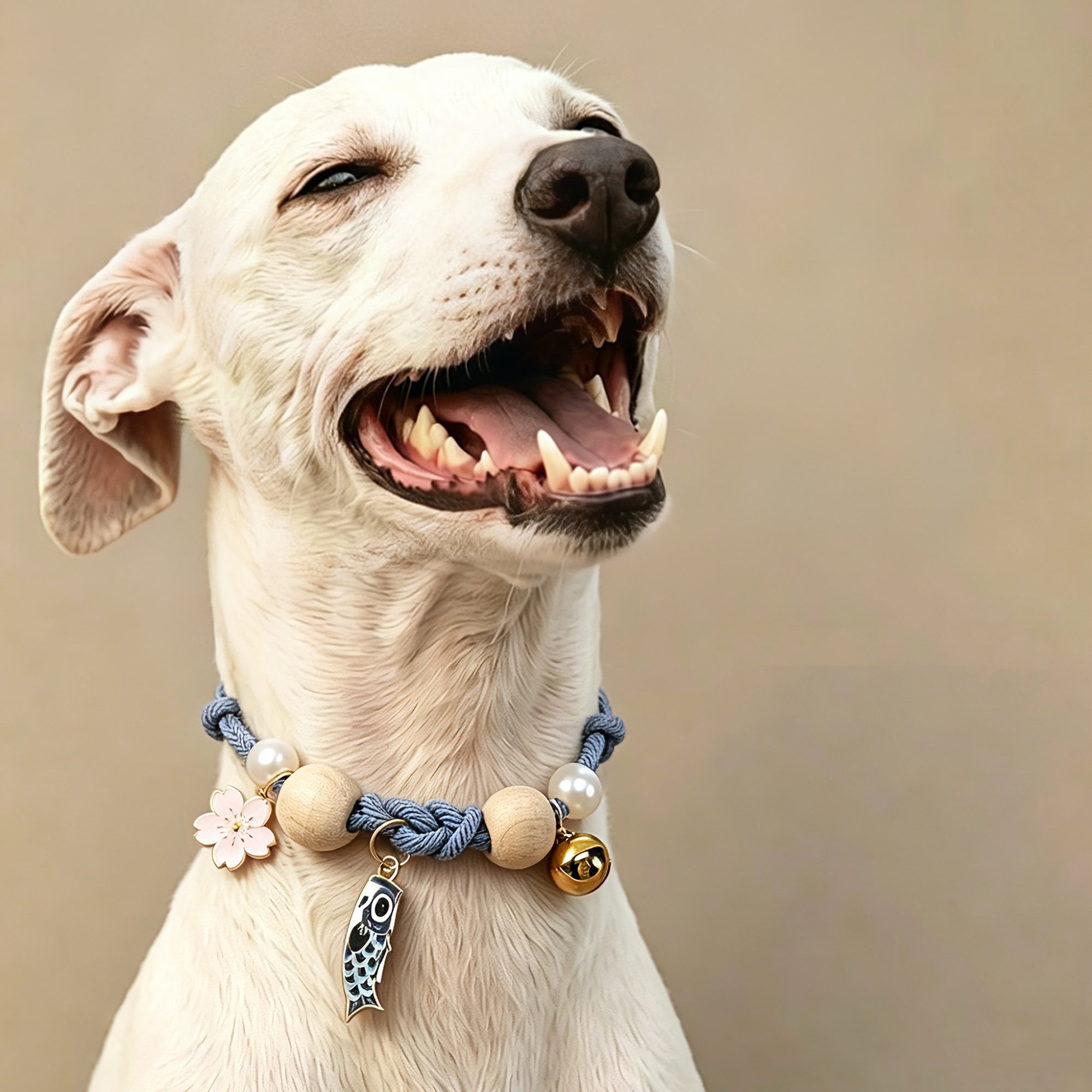 Handmade Lucky Camphor Wood Pet Collar Necklace