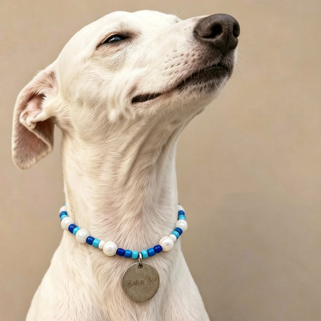 Cute Beaded Pet Collar Necklace