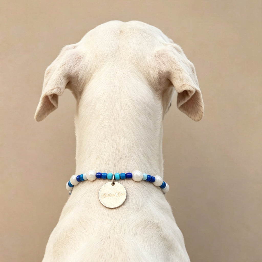 Cute Beaded Pet Collar Necklace