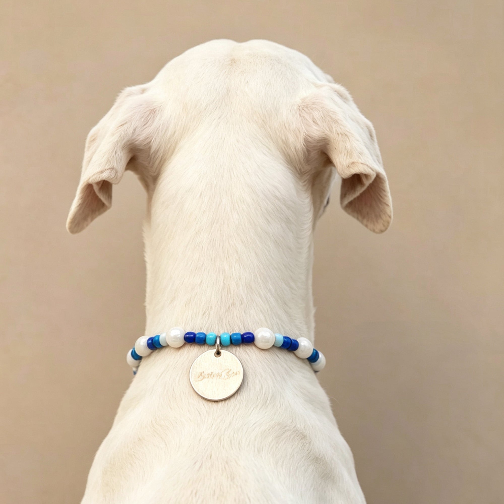 Cute Beaded Pet Collar Necklace