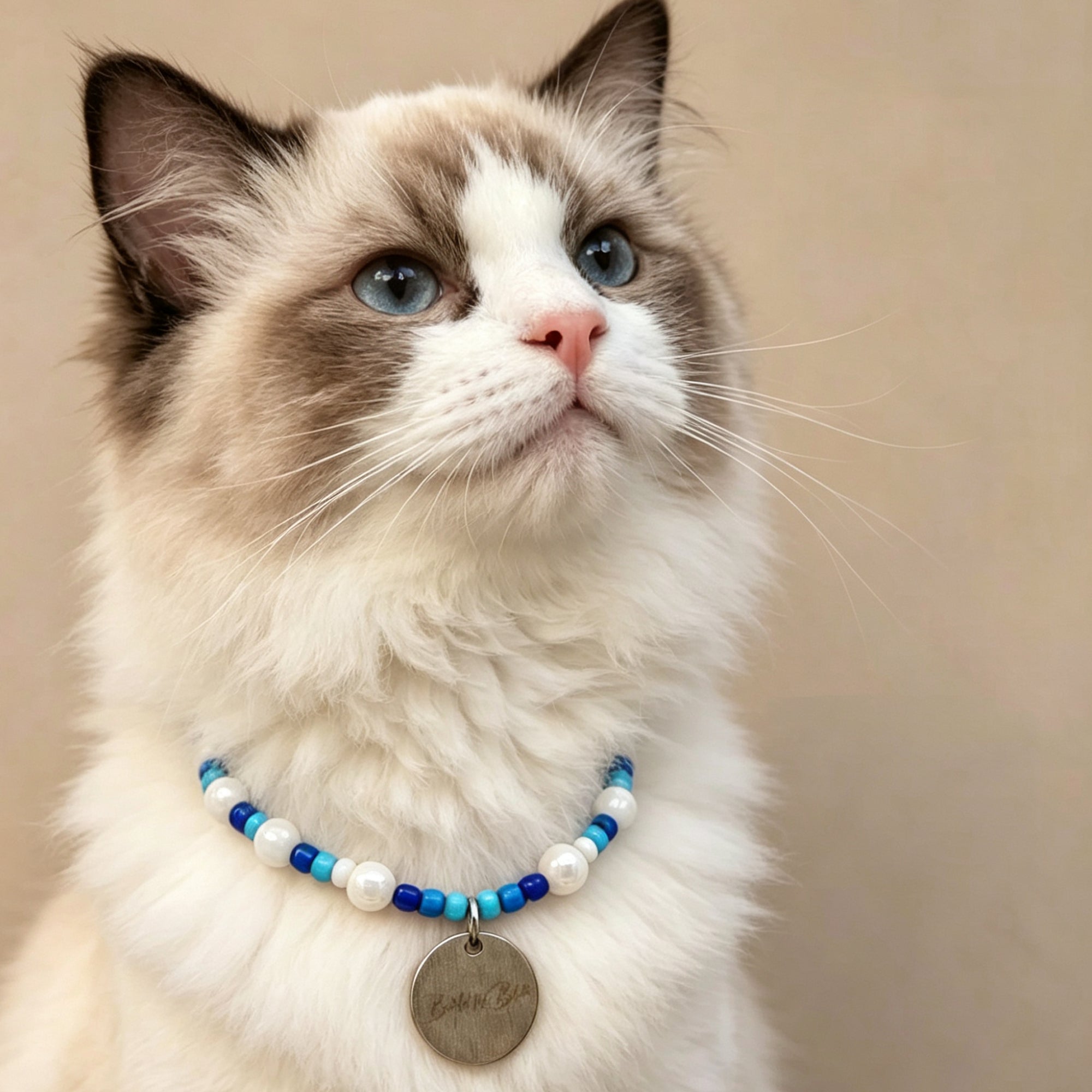 Cute Beaded Pet Collar Necklace