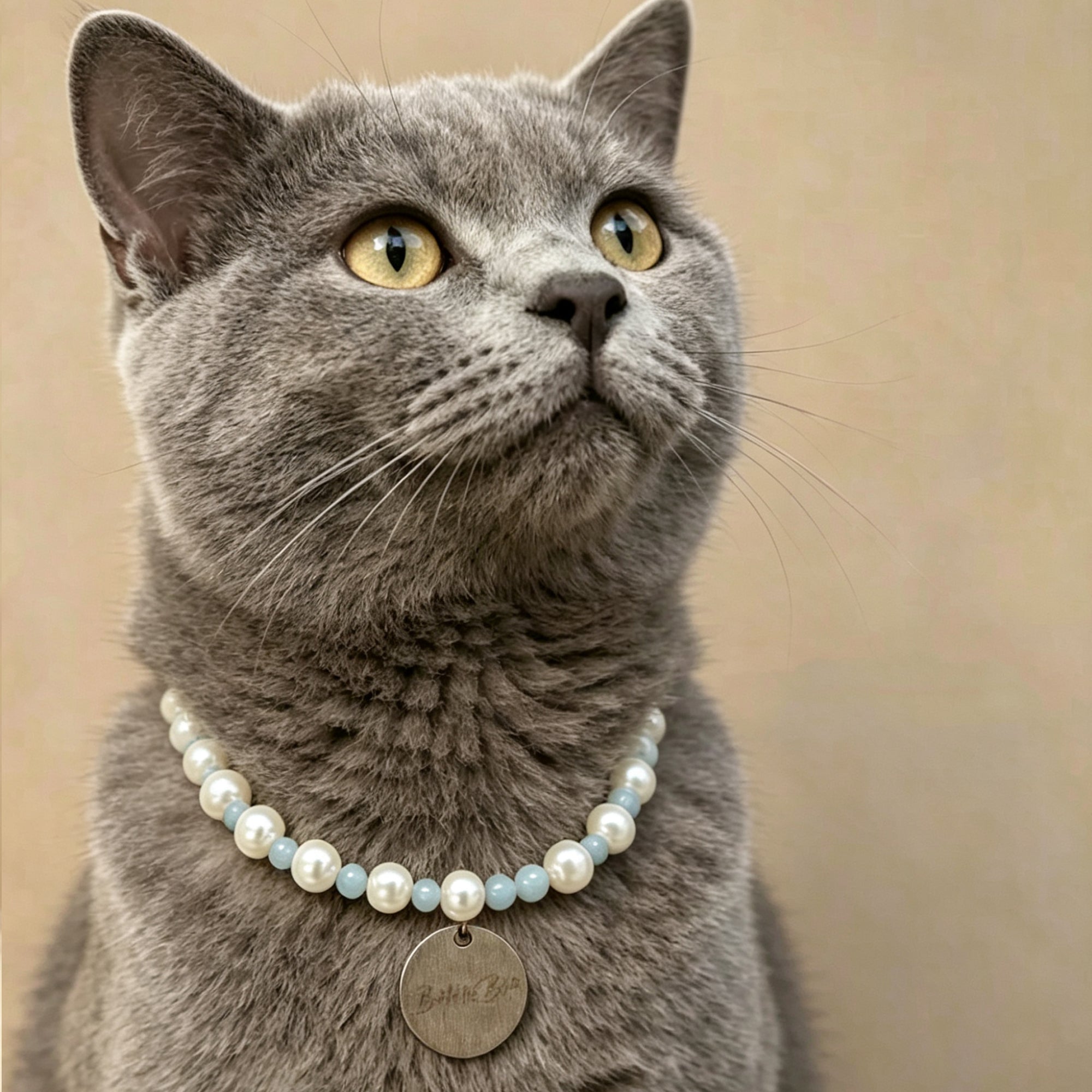 Elegant Pearl Beaded Pet Collar Necklace