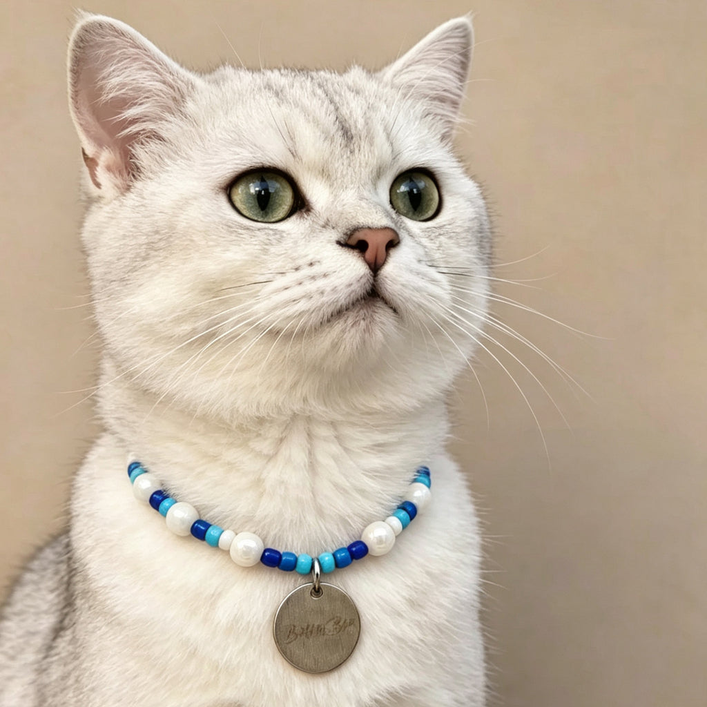 Cute Beaded Pet Collar Necklace