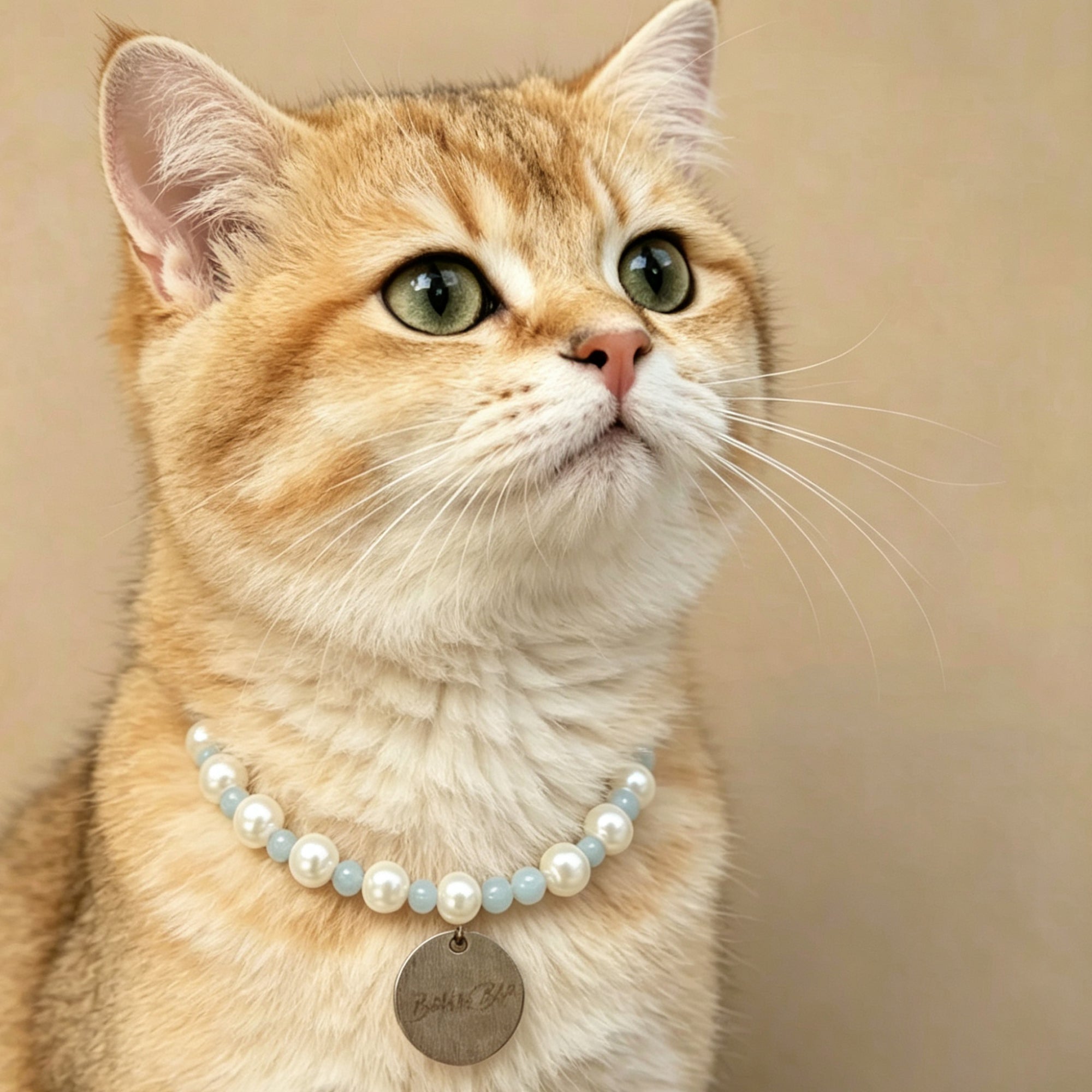 Elegant Pearl Beaded Pet Collar Necklace
