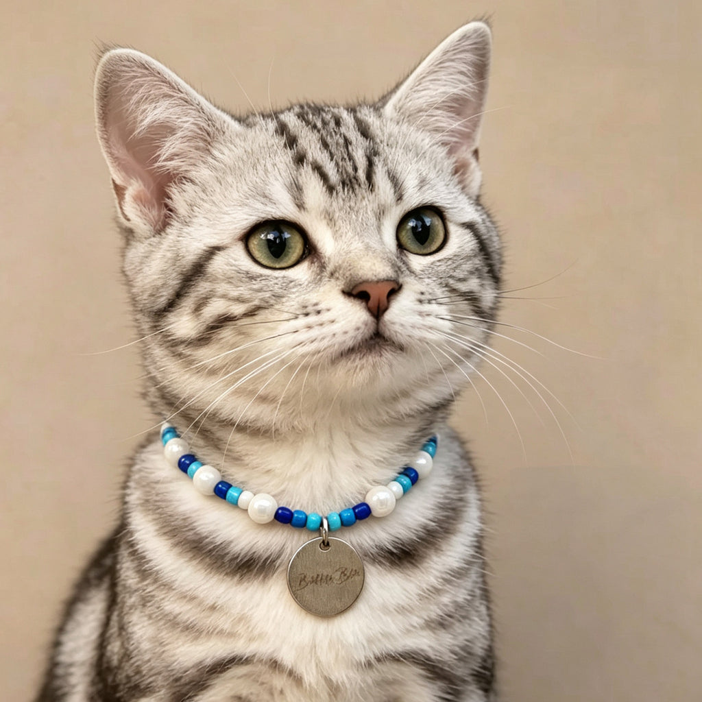 Cute Beaded Pet Collar Necklace